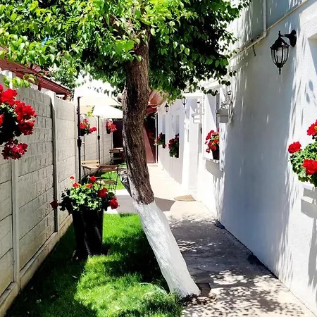 Rose Garden House * Bucharest