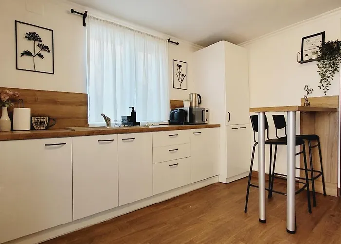 Rose Garden House Bucarest